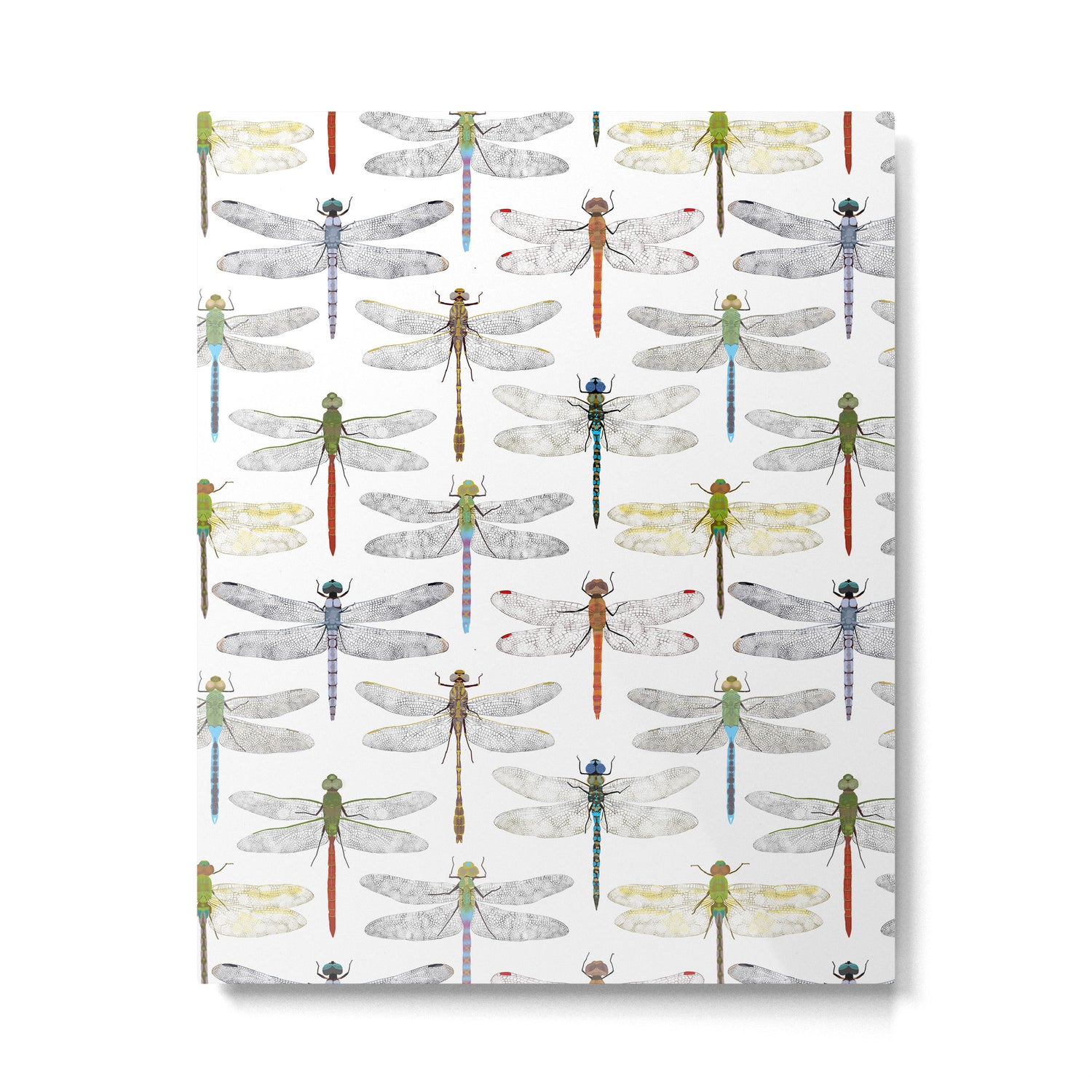 Dragonflies Metal Print Gallery Image 6