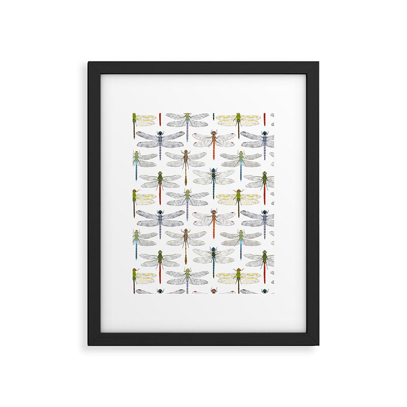 Dragonflies Framed Art Print Gallery Image 6