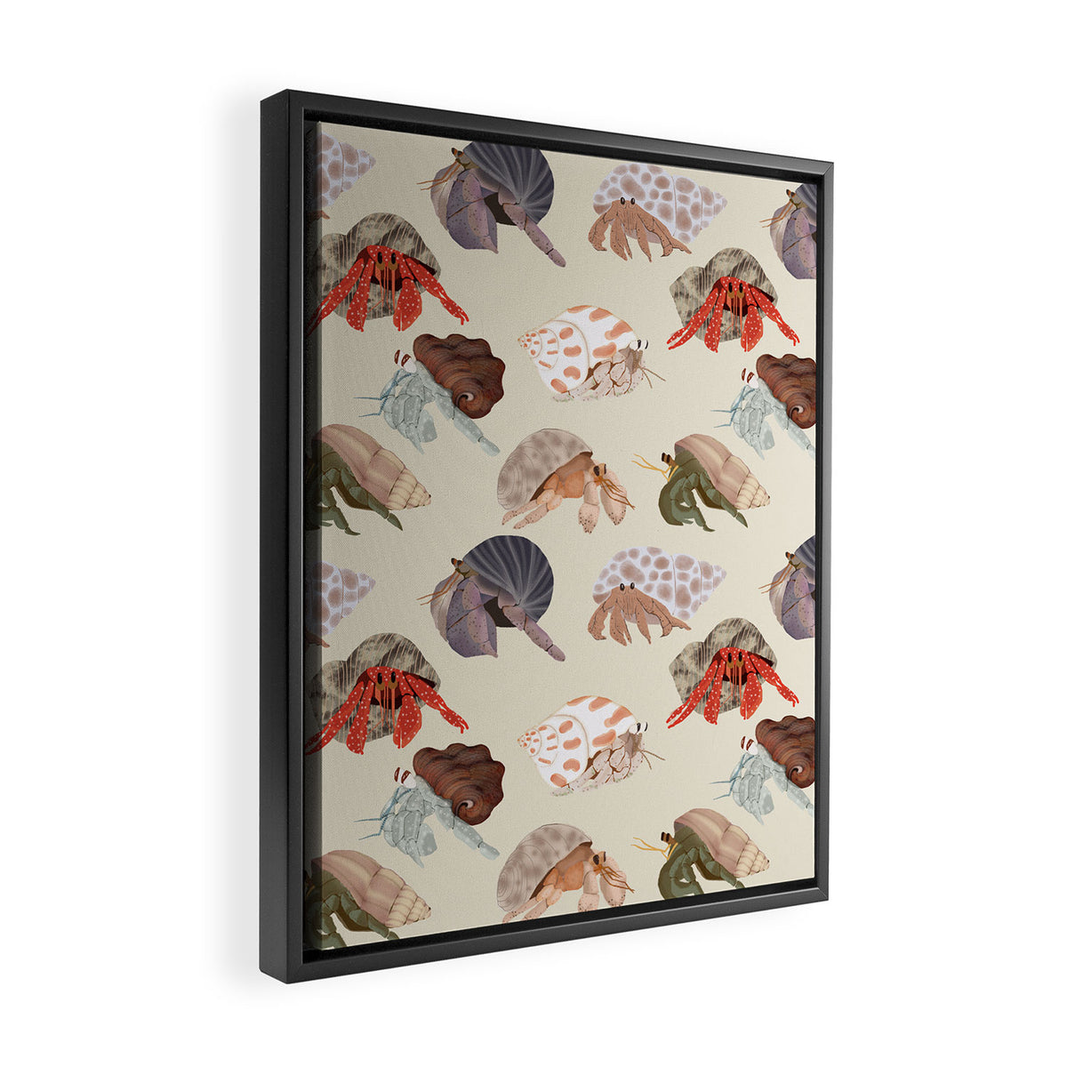 Hermit Crabs Framed Canvas Print Gallery Image 2