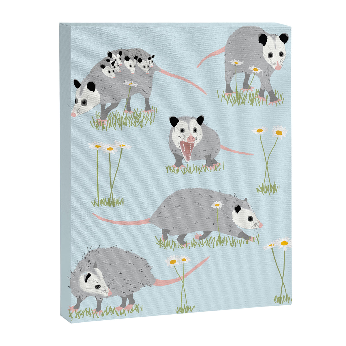 Opossums and Daisies Canvas Print Gallery Image 8