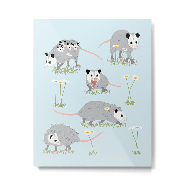 Opossums and Daisies Metal Print Gallery Image 1