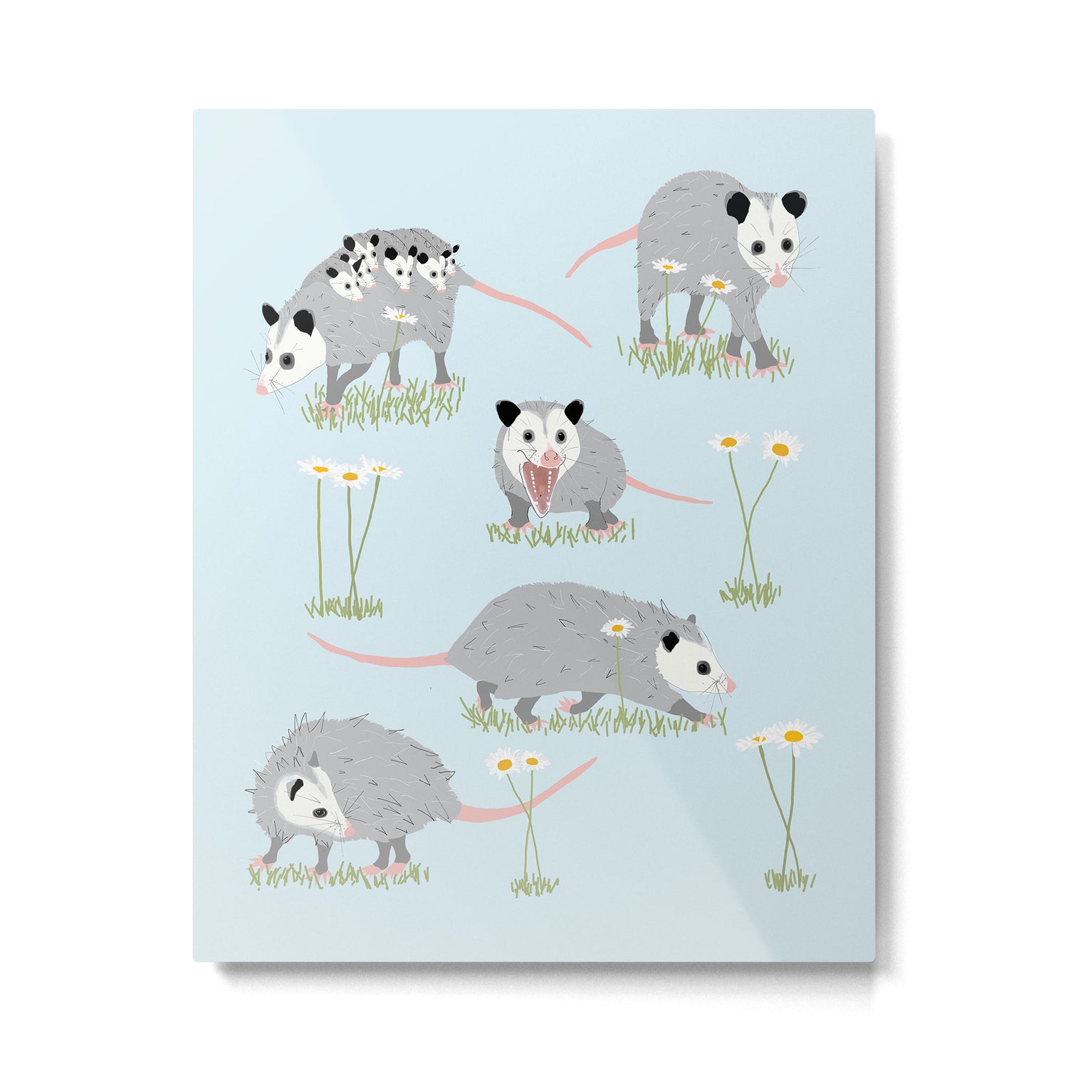 Opossums and Daisies Metal Print Gallery Image 6