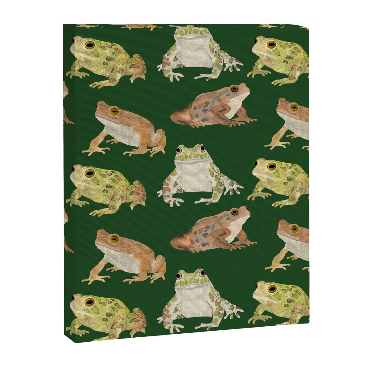 Toads Canvas Print Gallery Image 8