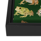 Toads Framed Canvas Print Gallery Image 3