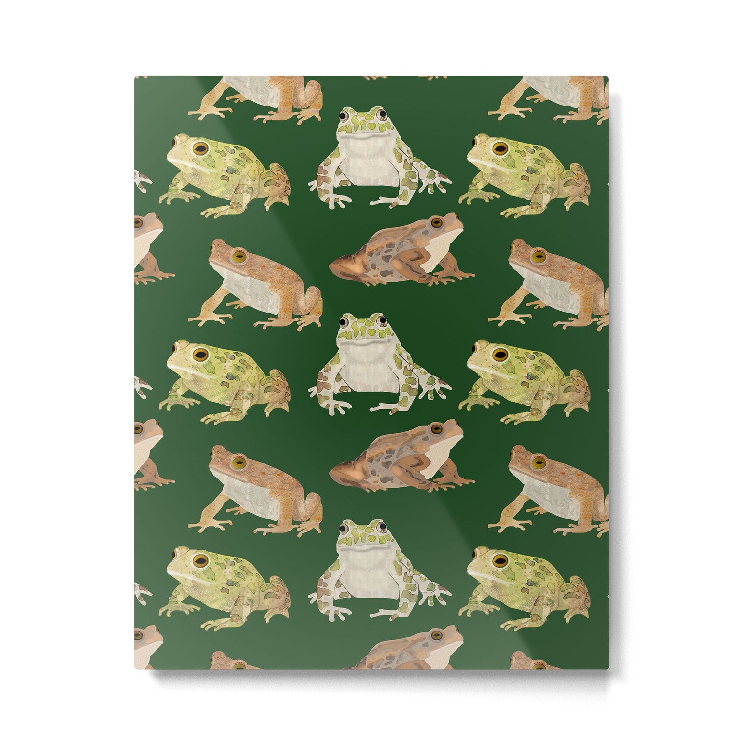 Toads Metal Print Gallery Image 6