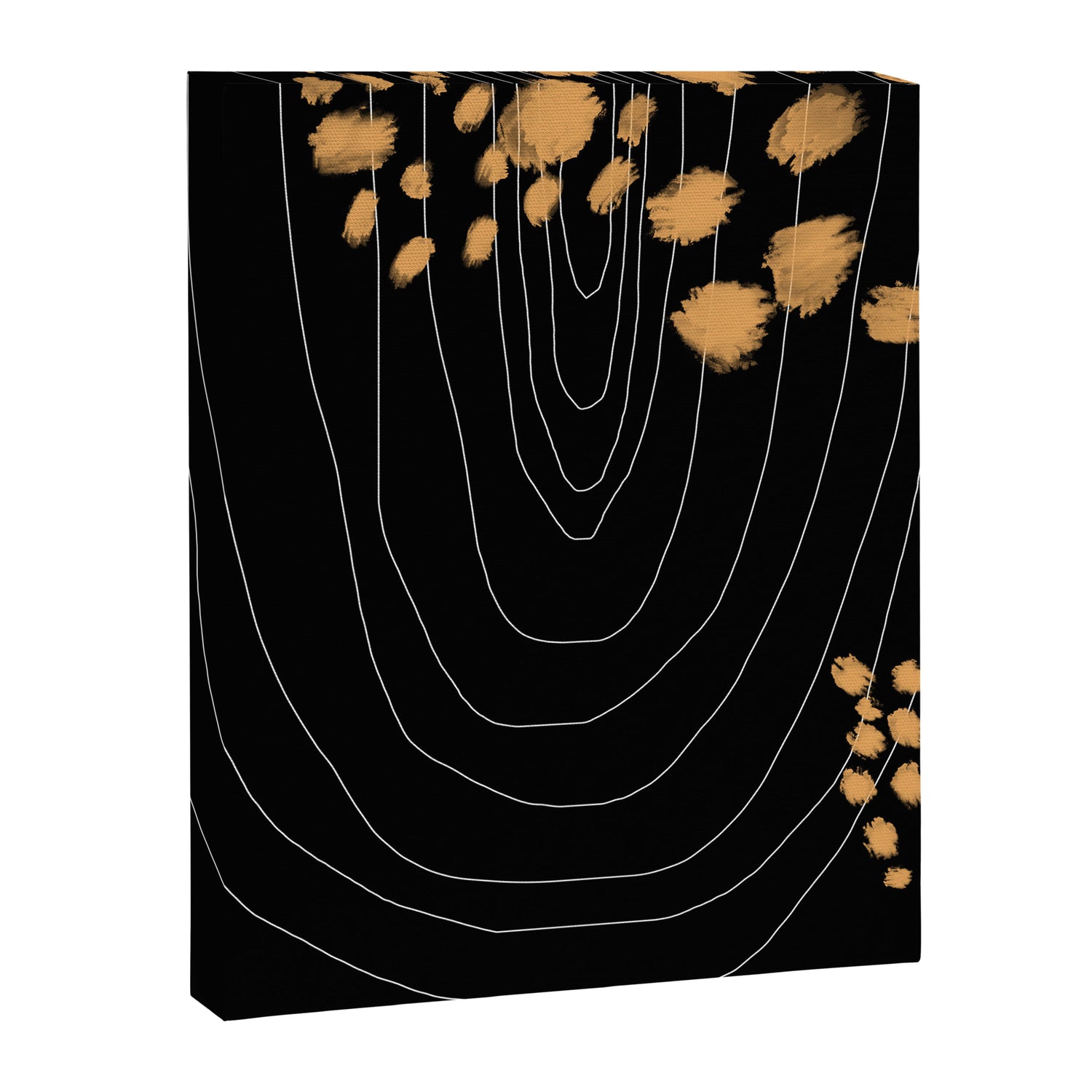 Black & Gold Canvas Print Gallery Image 6