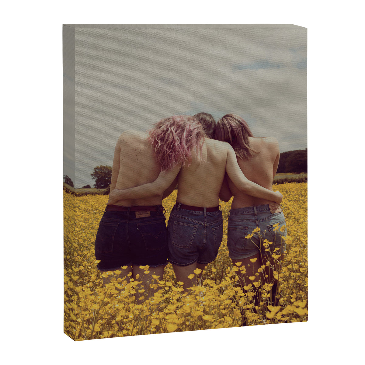 Buttercups Canvas Print Gallery Image 6