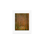 Gustav Klimt "Fir Forest" Art Print Gallery Image 1
