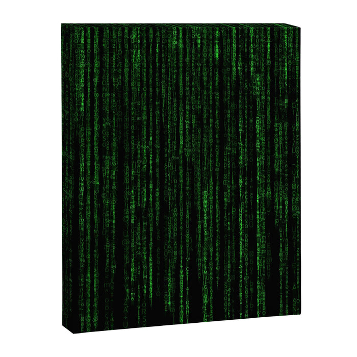 Matrix (2) Canvas Print Gallery Image 1