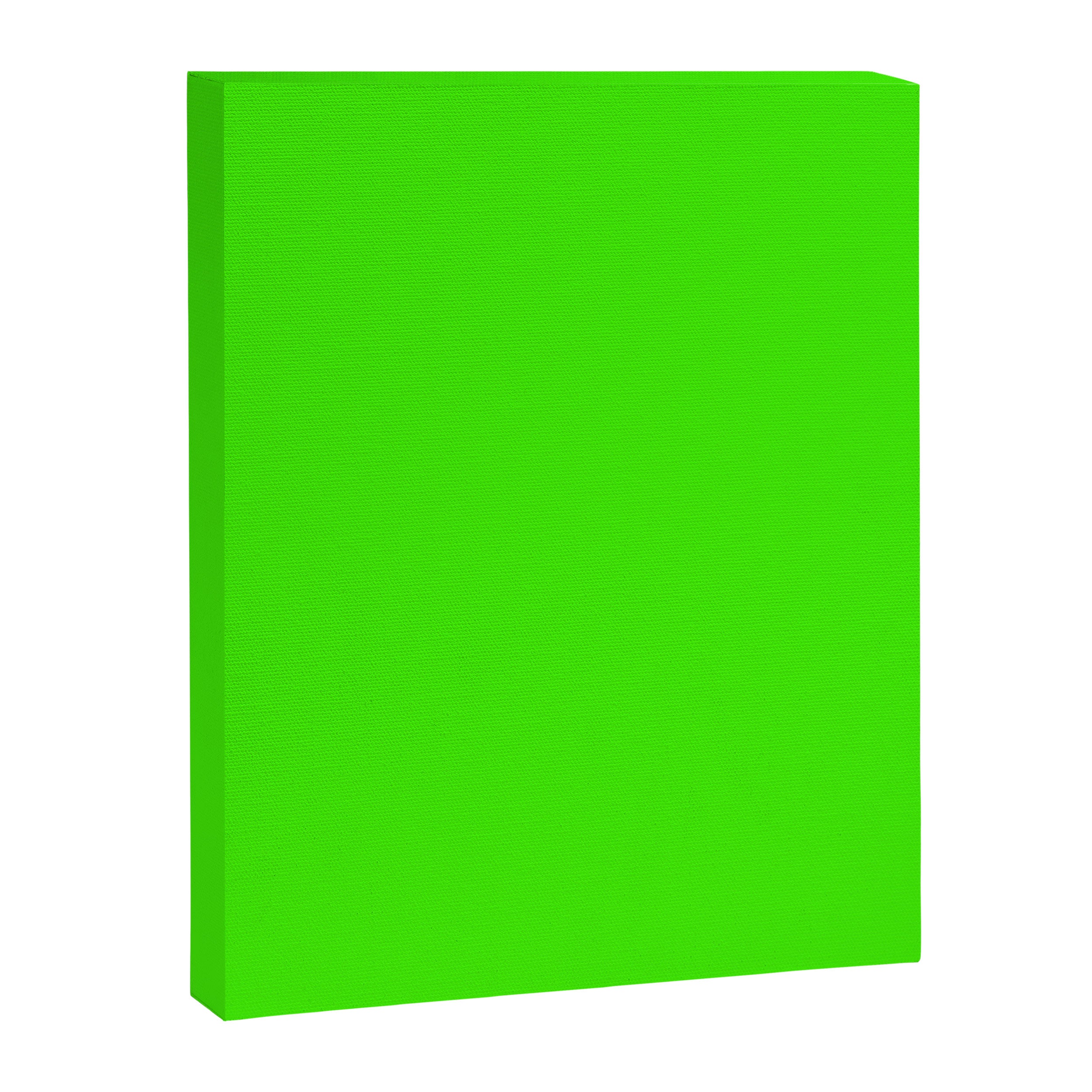 Neon Green Canvas Print Gallery Image 8