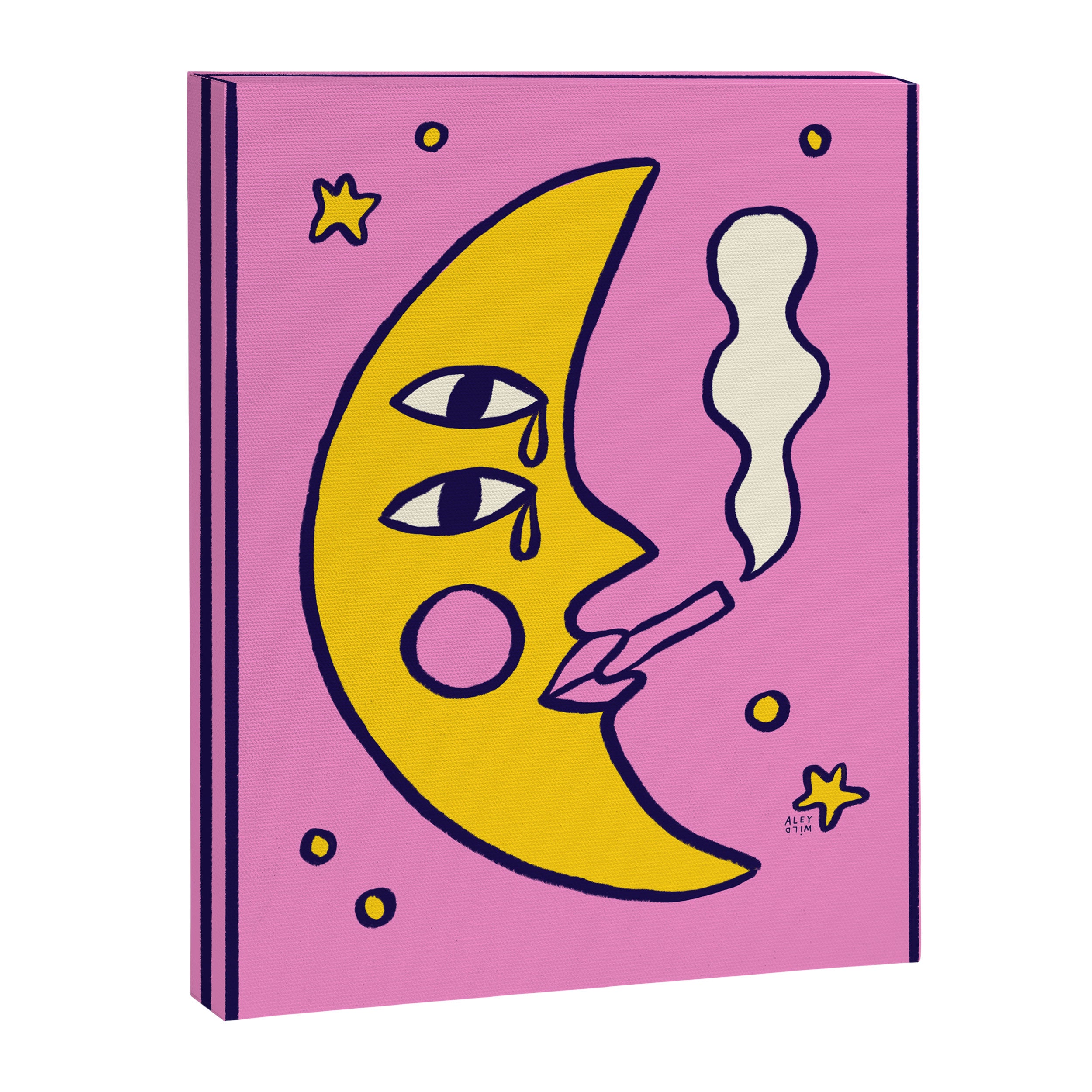 Moon-itude Canvas Print Gallery Image 6