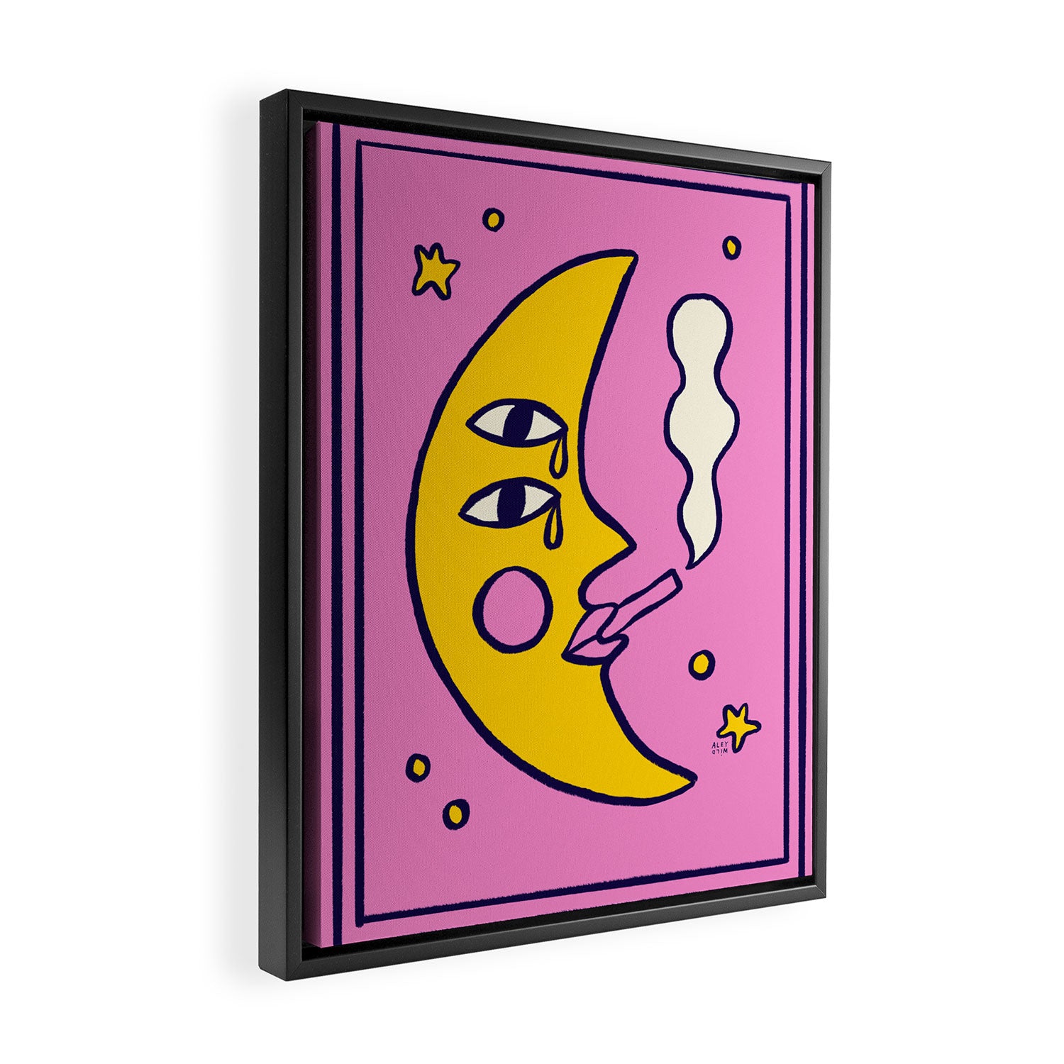 Moon-itude Framed Canvas Print Gallery Image 2