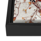 Delicate Skull Framed Canvas Print Gallery Image 3