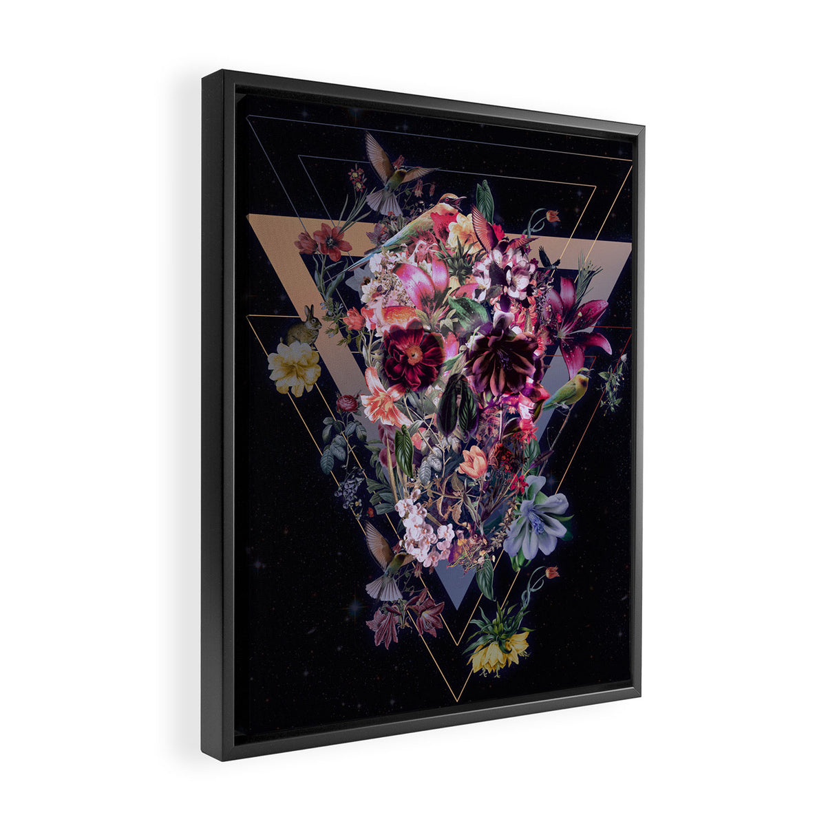 New Skull Framed Canvas Print Gallery Image 2