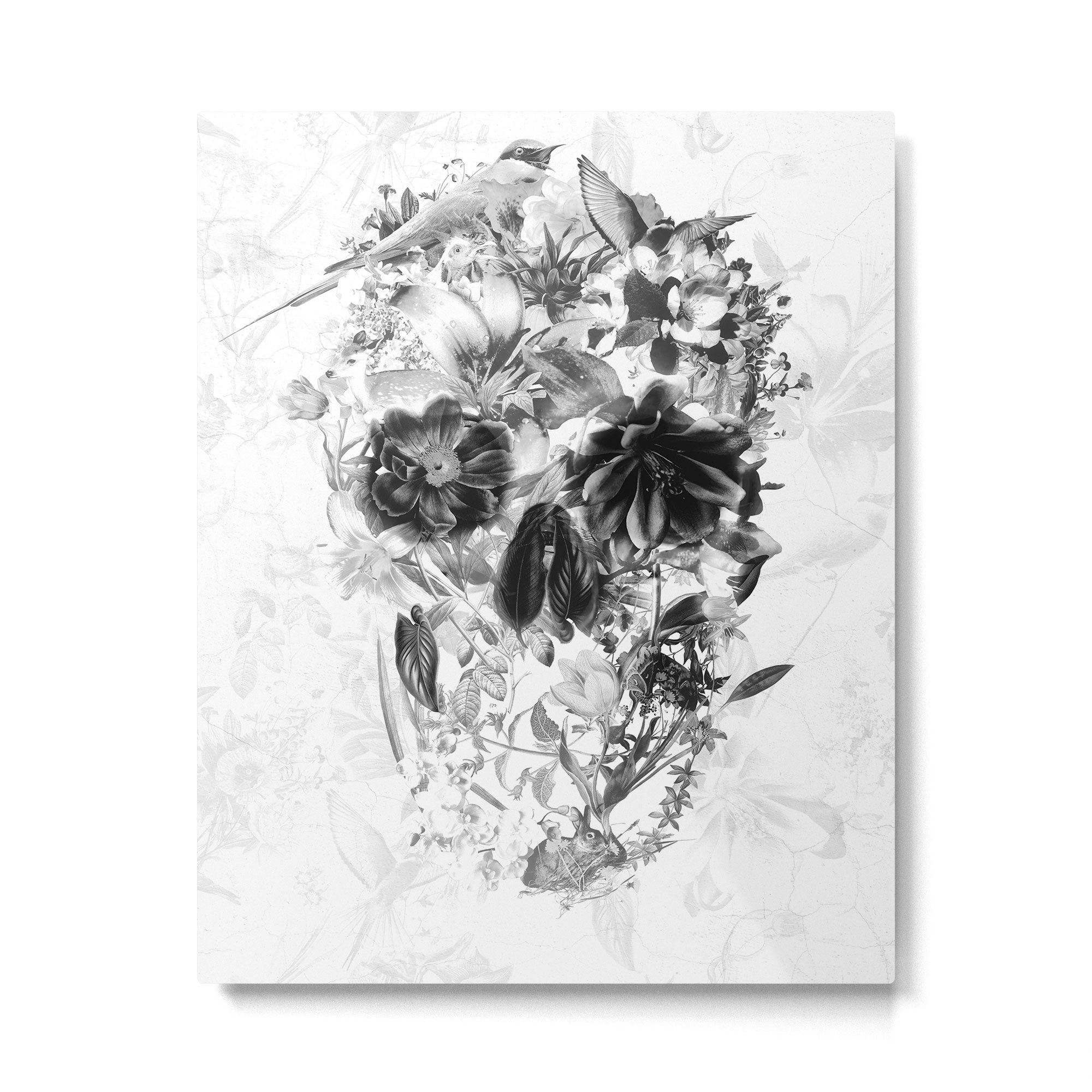 New Skull Light B&W Metal Print Gallery Image 6