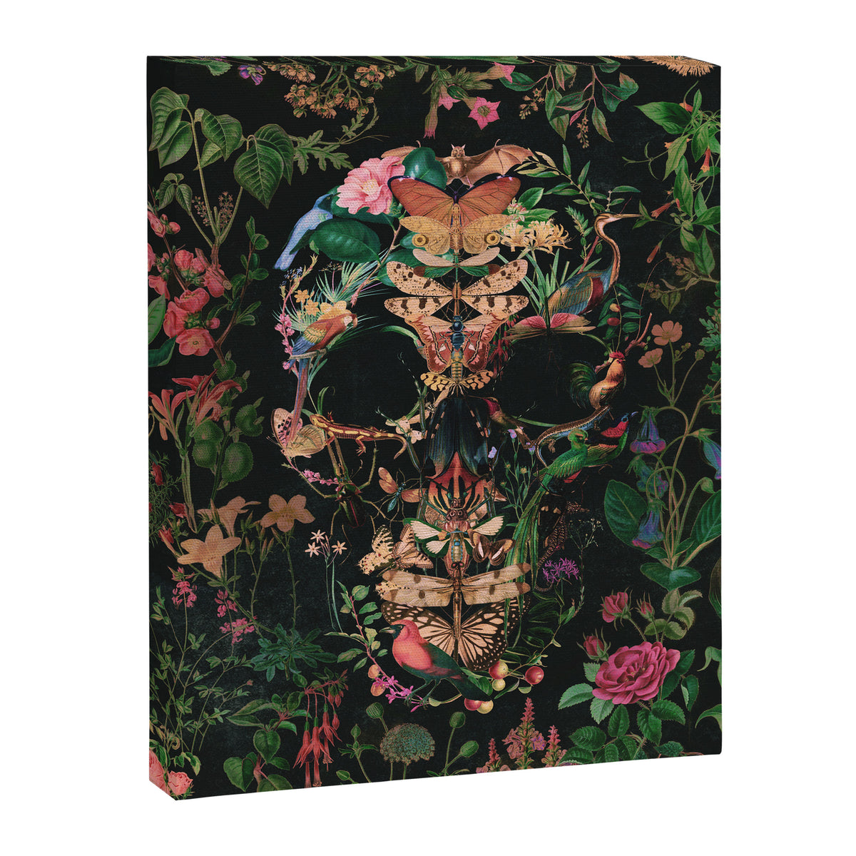 Papilion Skull Canvas Print Gallery Image 8
