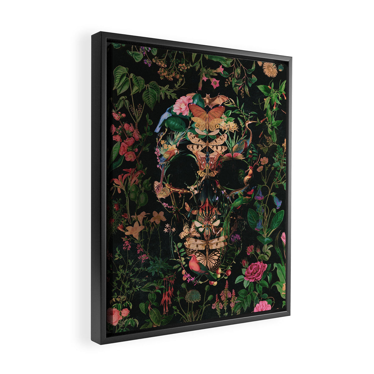 Papilion Skull Framed Canvas Print Gallery Image 2