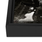 Room Skull B&W Framed Canvas Print Gallery Image 3