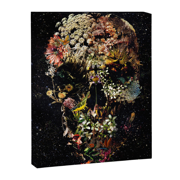 Smyrna Skull Canvas Print Gallery Image 1