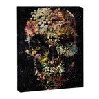 Smyrna Skull Canvas Print Gallery Image 8