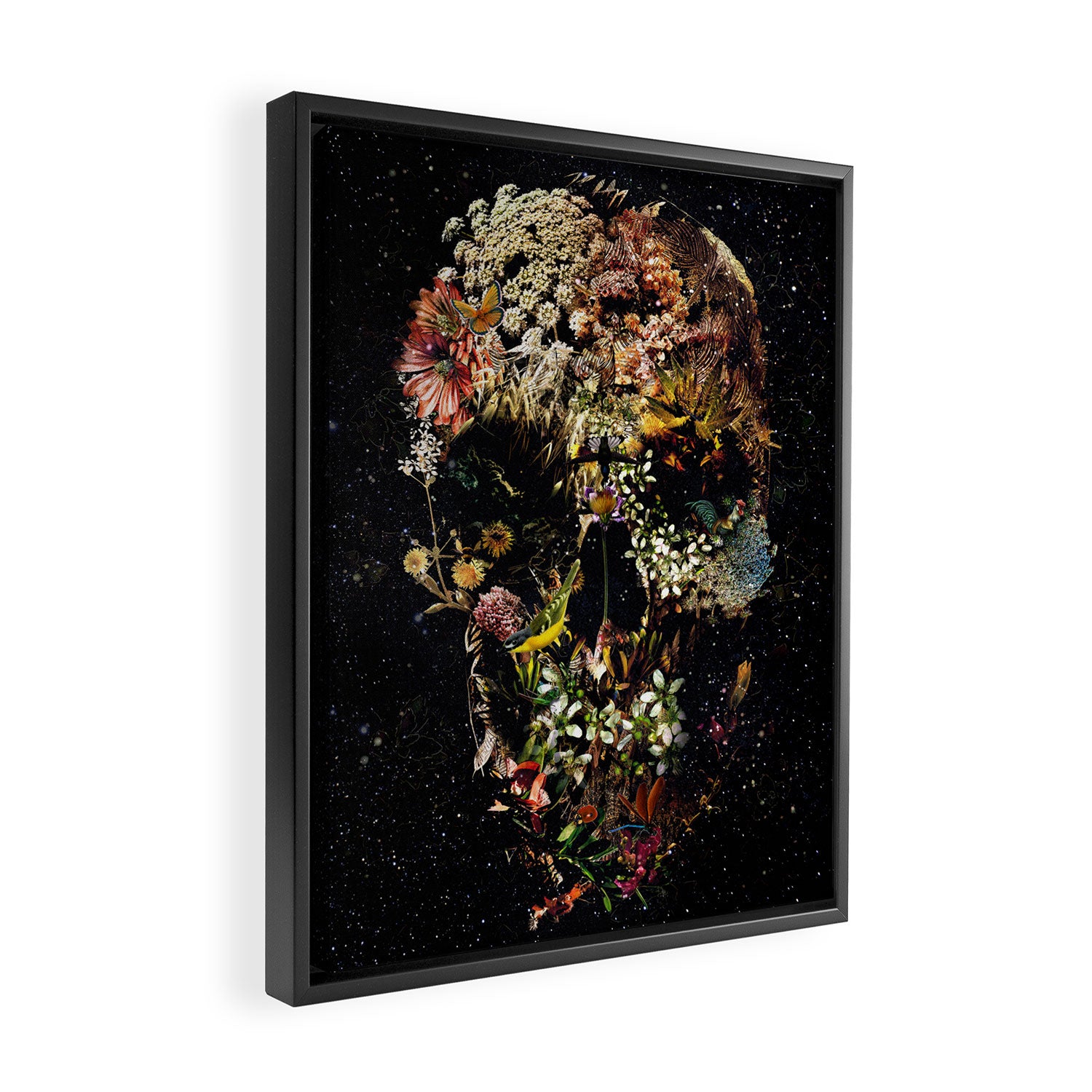 Smyrna Skull Framed Canvas Print Gallery Image 2