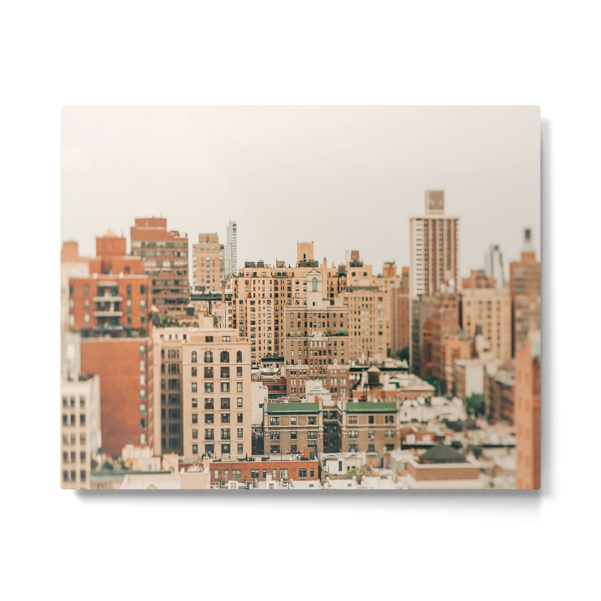 American Lives Metal Print Gallery Image 4