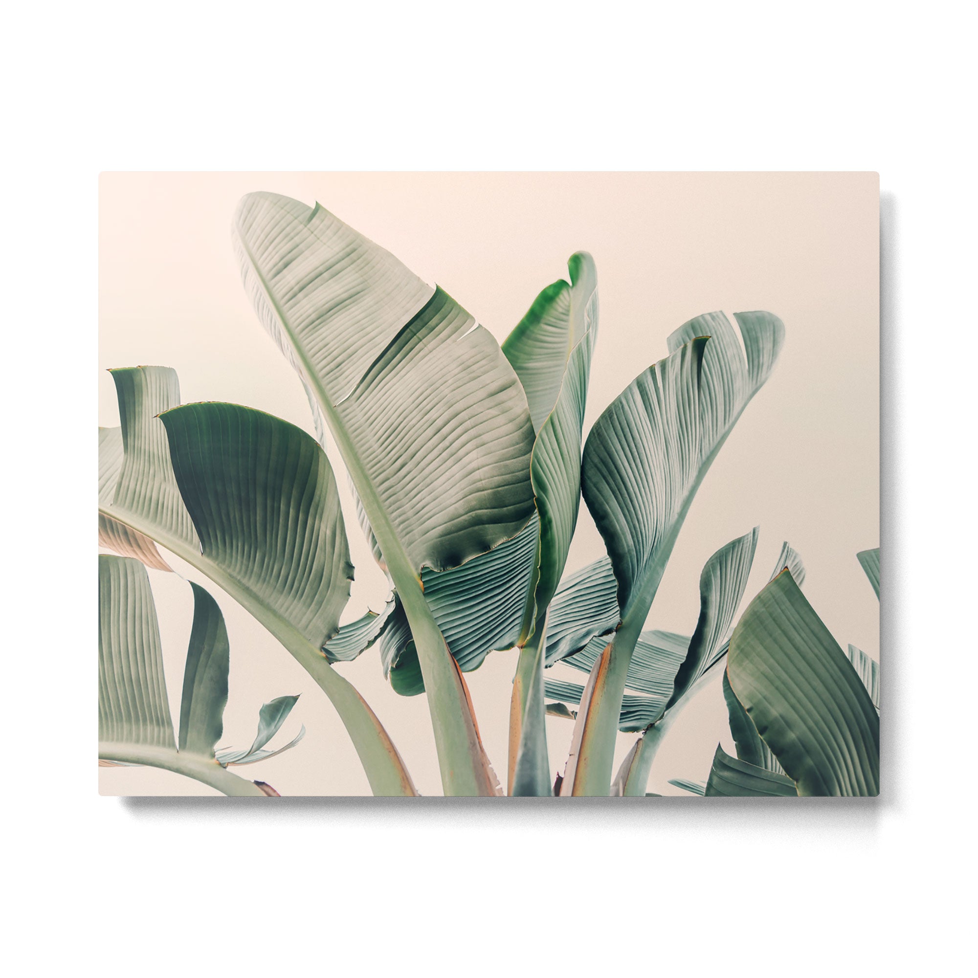 Around The Bend #1 - Modern Tropical Photograph Metal Print Gallery Image 4