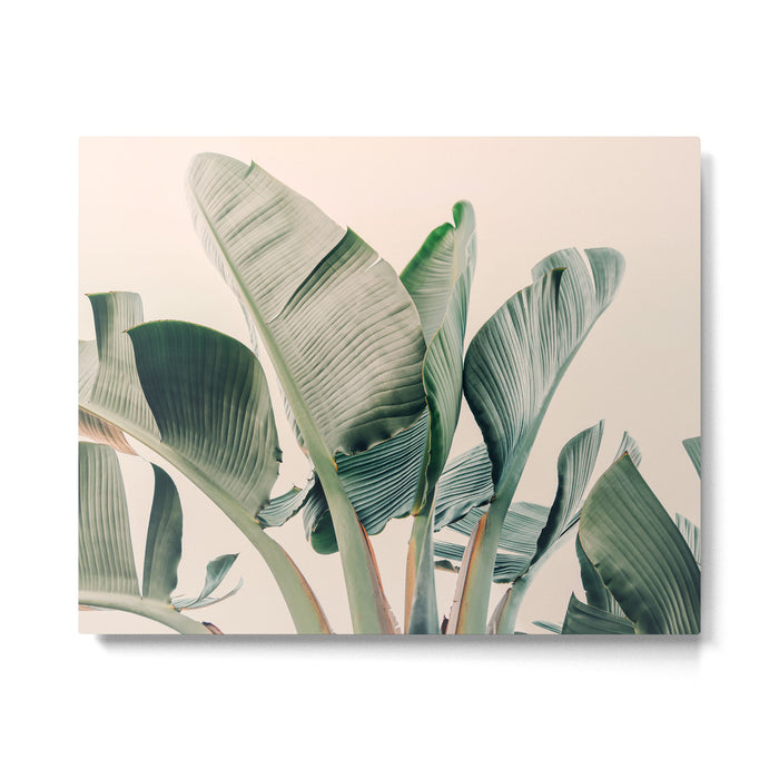 Around The Bend #1 - Modern Tropical Photograph Metal Print Gallery Image 1