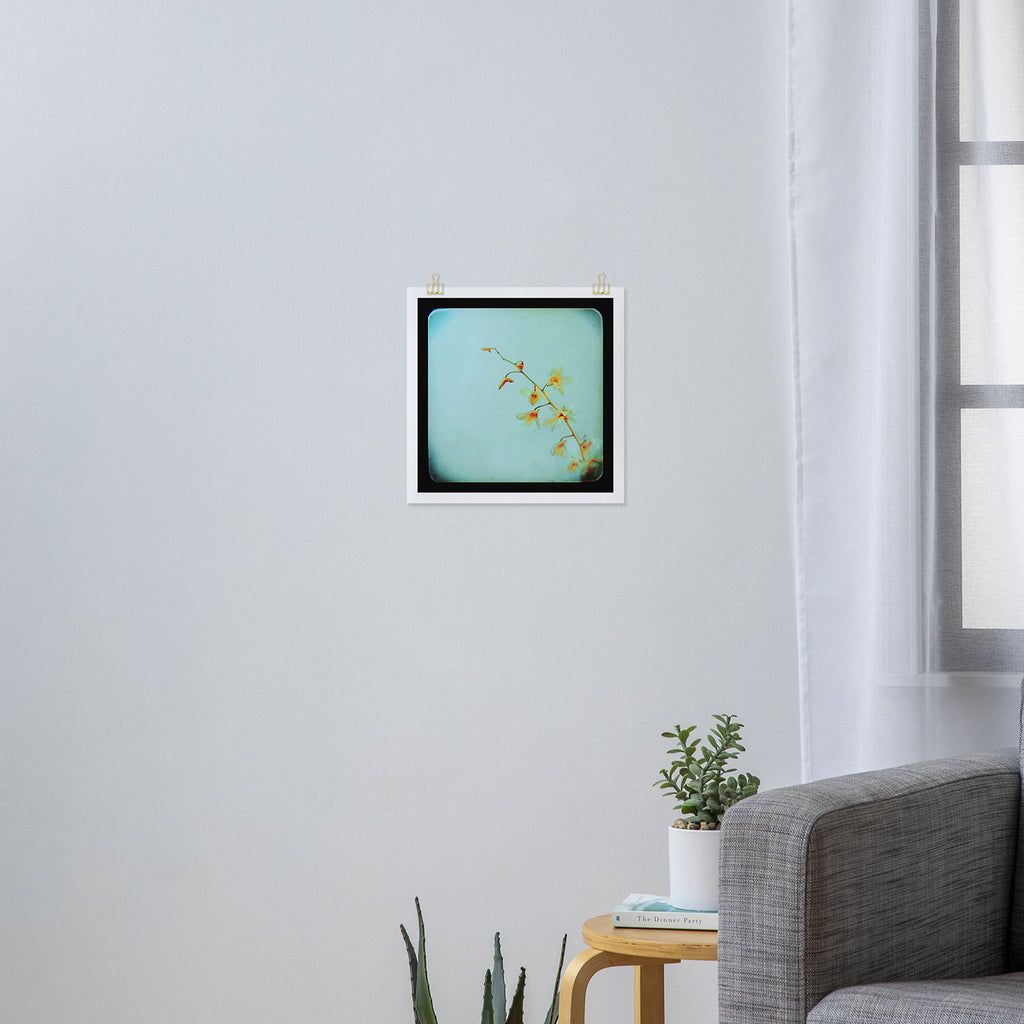 Baby Blue Art Print Gallery Image 3