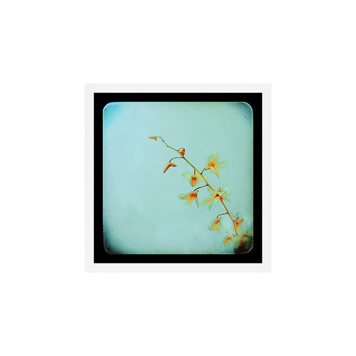 Baby Blue Art Print Gallery Image 1