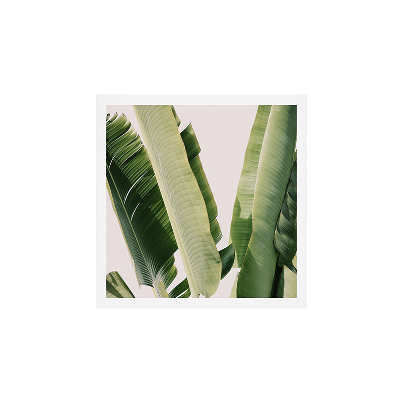 Banana Leaf #1 Art Print Gallery Image 1