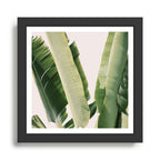 Banana Leaf #1 Framed Art Print Gallery Image 1