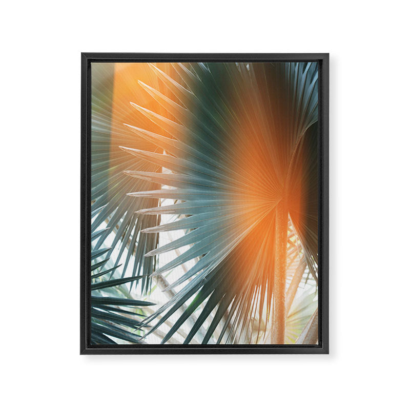 Bismarck Flare - Modern Photography Print Framed Canvas Print Gallery Image 6