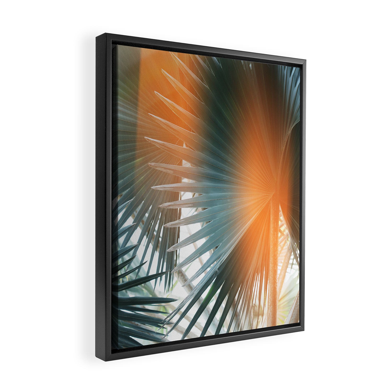 Bismarck Flare - Modern Photography Print Framed Canvas Print Gallery Image 2