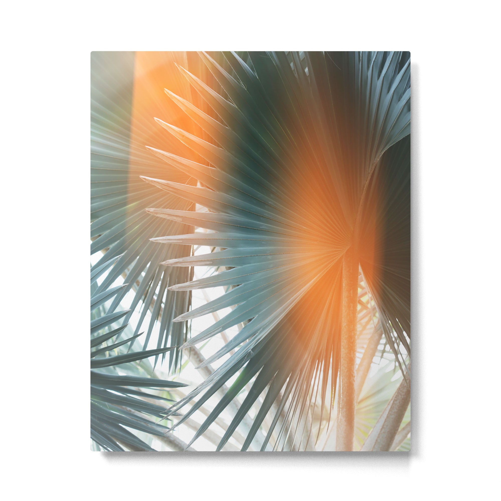 Bismarck Flare - Modern Photography Print Metal Print Gallery Image 4