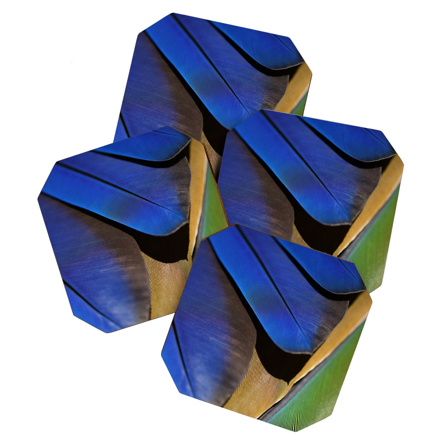 Blue Feathers #1 - Modern Photograph Coaster Gallery Image 1