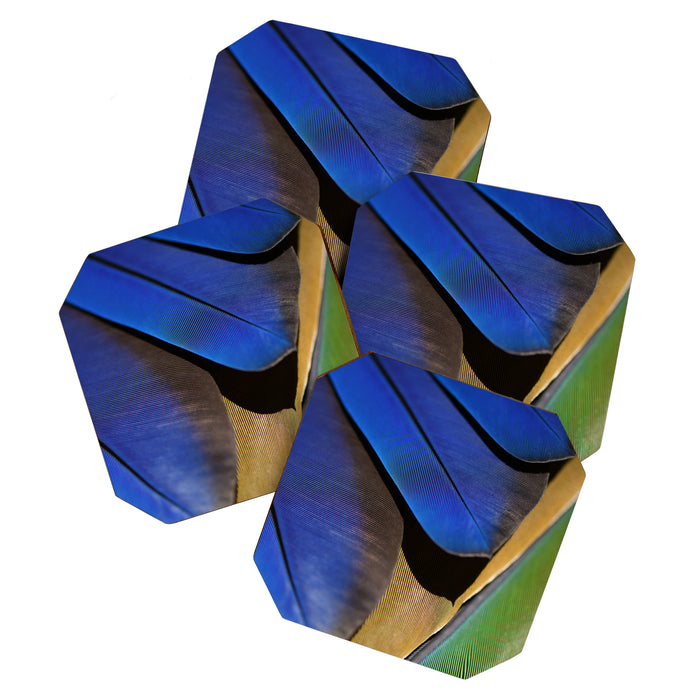 Blue Feathers #1 - Modern Photograph Coaster Gallery Image 1