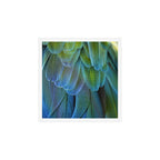 Blue Feathers #2 - Modern Photograph Art Print Gallery Image 1