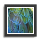 Blue Feathers #2 - Modern Photograph Framed Art Print Gallery Image 1