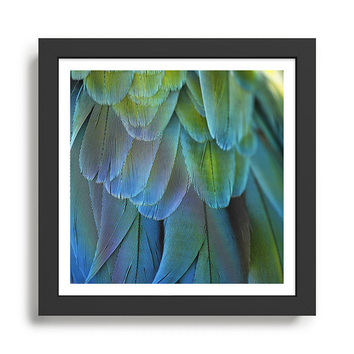 Blue Feathers #2 - Modern Photograph Framed Art Print Gallery Image 1