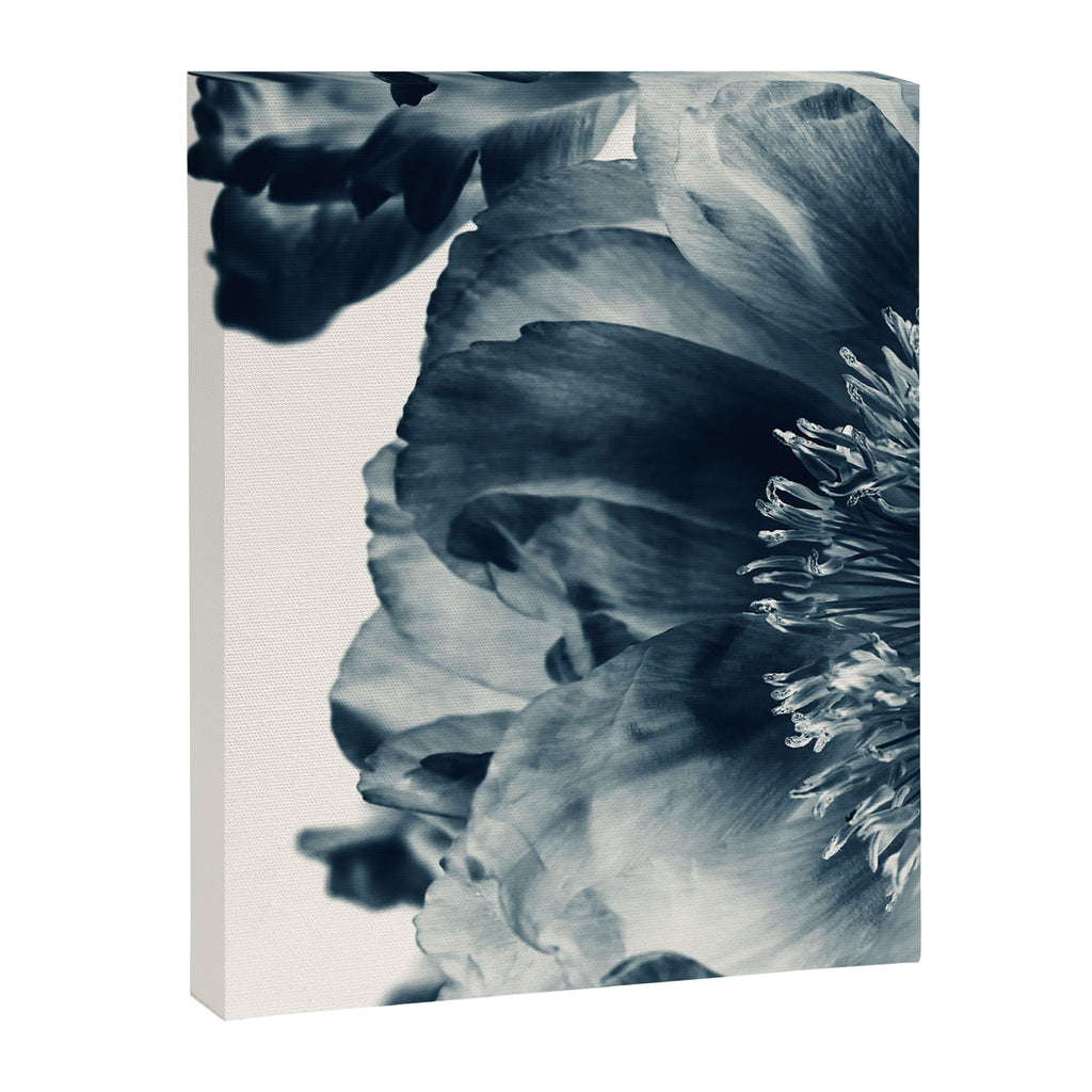 Blue Paeonia #6 Canvas Print Gallery Image 6