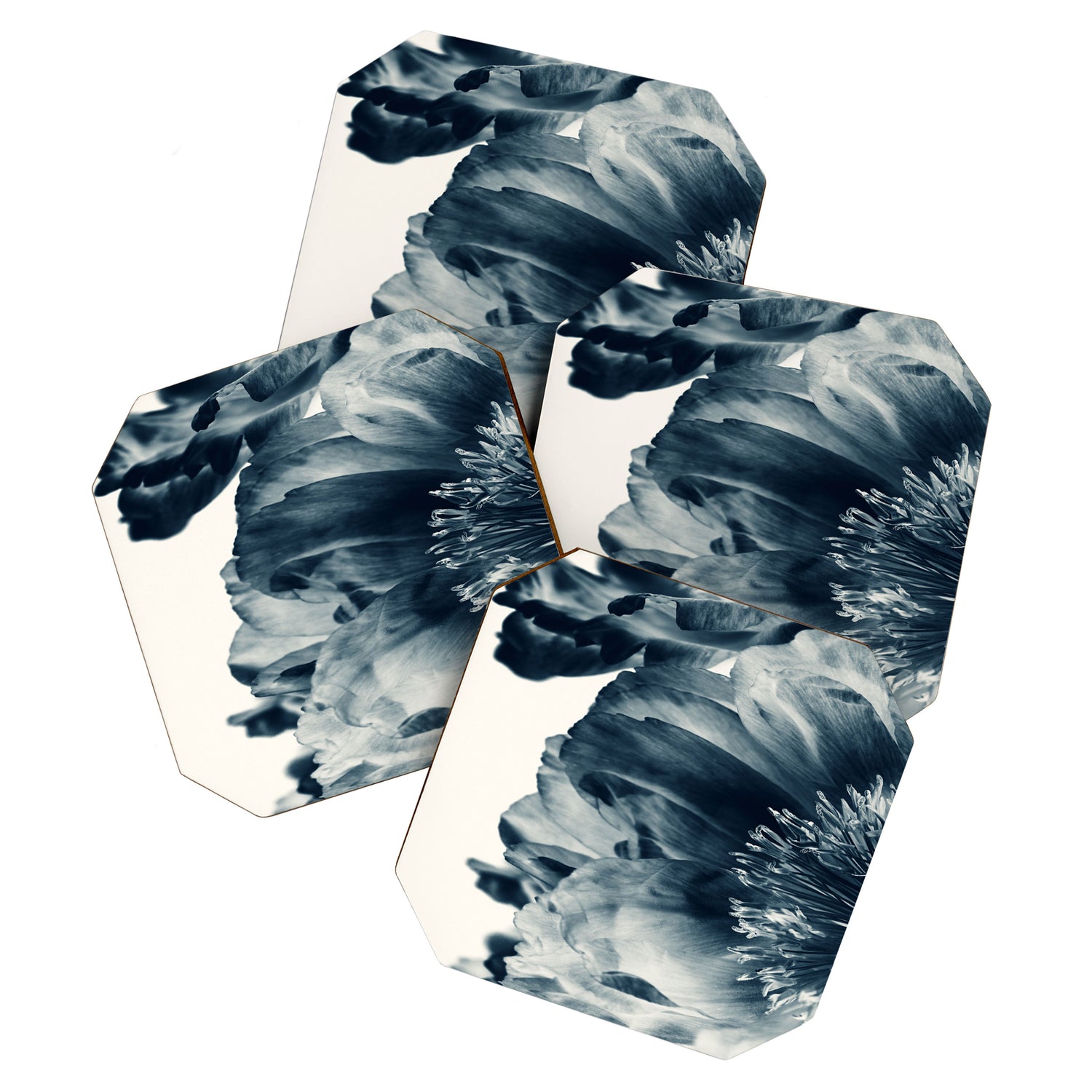 Blue Paeonia #6 Coaster Gallery Image 1