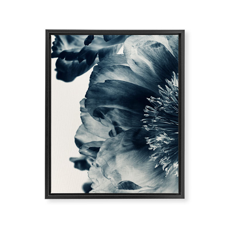 Blue Paeonia #6 Framed Canvas Print Gallery Image 6