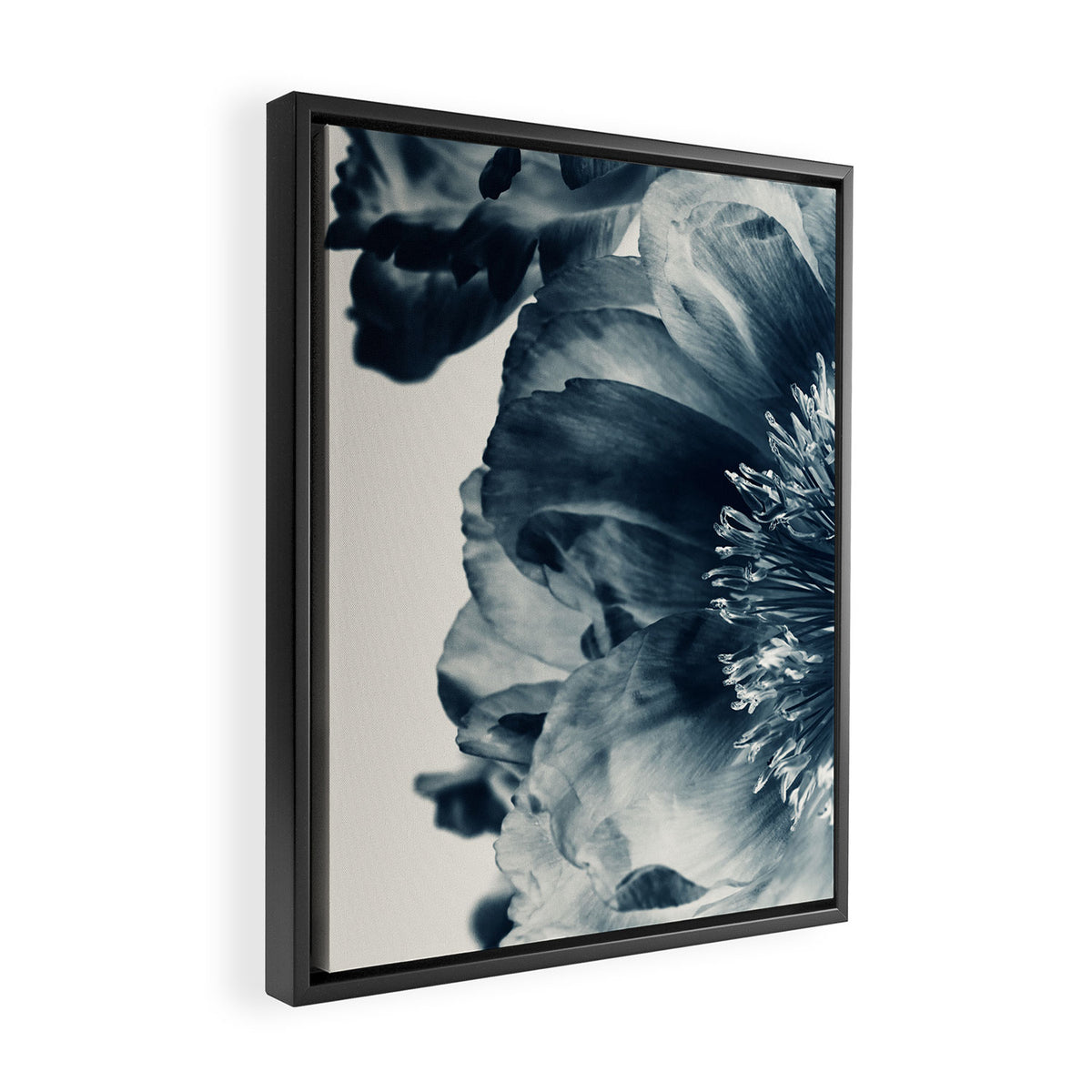 Blue Paeonia #6 Framed Canvas Print Gallery Image 2