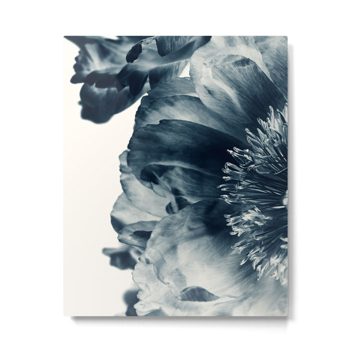 Blue Paeonia #6 Metal Print Gallery Image 1