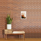 Bougainvillea Morning Art Print Gallery Image 2