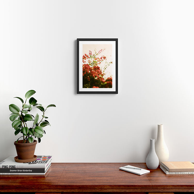 Bougainvillea Morning Framed Art Print Gallery Image 2