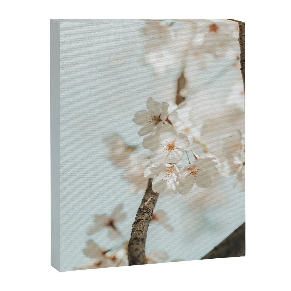 Branching Out Canvas Print Gallery Image 6