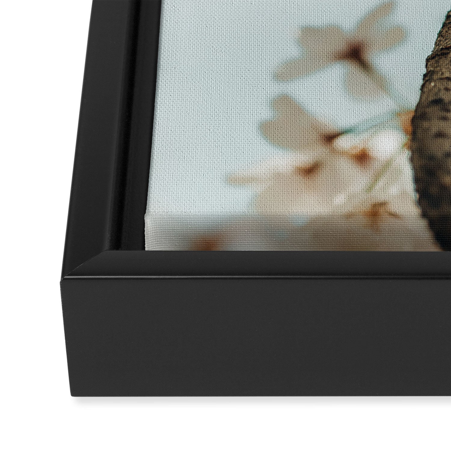 Branching Out Framed Canvas Print Gallery Image 3