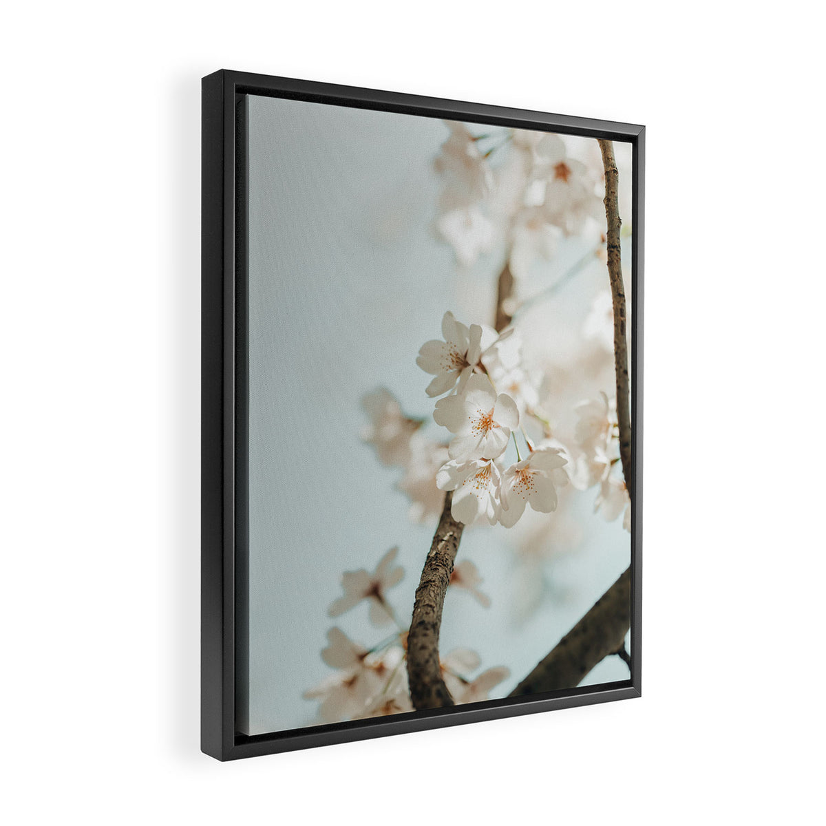 Branching Out Framed Canvas Print Gallery Image 2